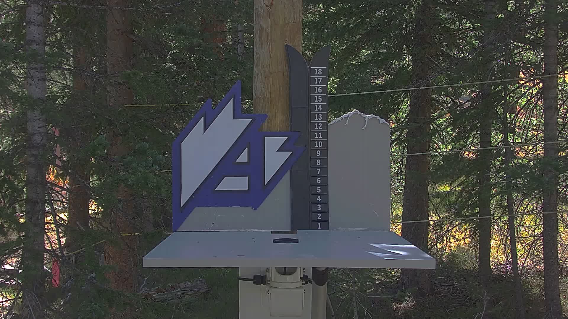 Snow Stake