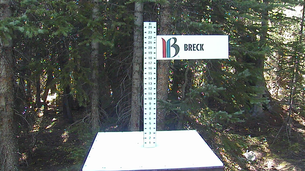 Breckenridge Snow Stake Live