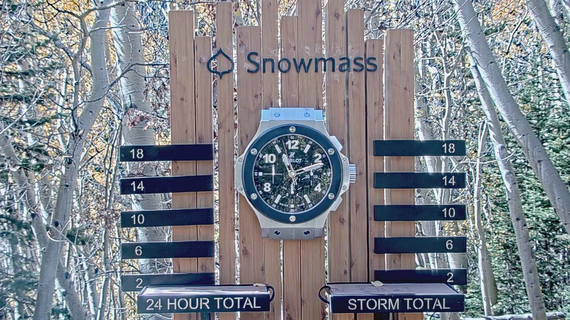 Snow Stake